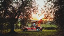 tramonto vigne