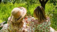 picnic