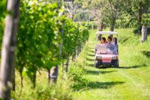 wine tour
