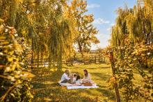 picnic ottobre