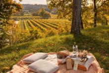 picnic ottobre